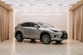 Lexus NX Z10 рестайлинг — 2018