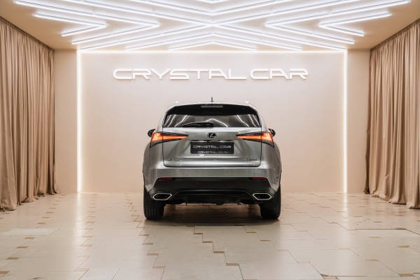 Lexus NX Z10 рестайлинг (2017—2021) Premium - 2018