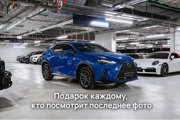 Lexus NX Comfort 2022