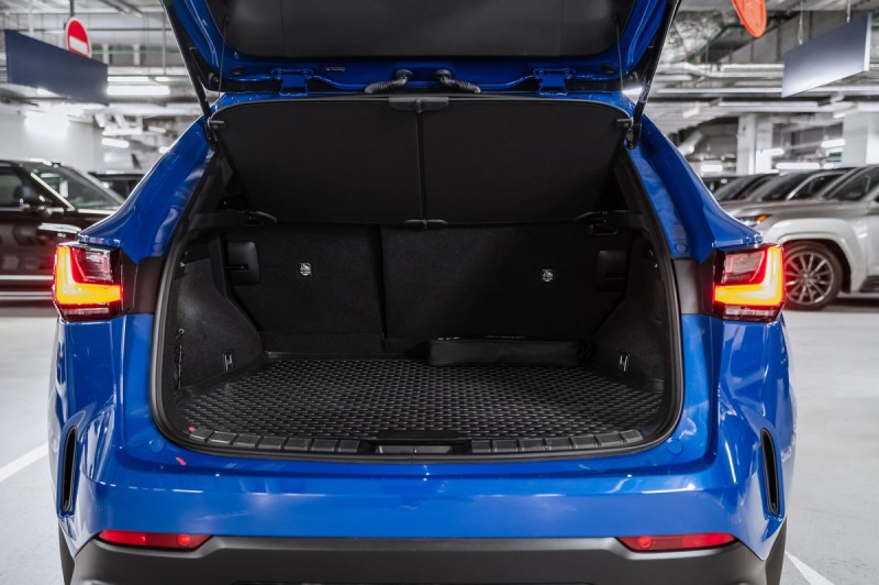 Lexus NX Comfort 2022