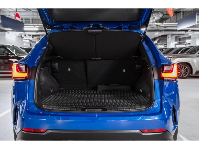 Lexus NX Comfort 2022