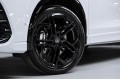 Volkswagen Tiguan R-Line Premium 2026