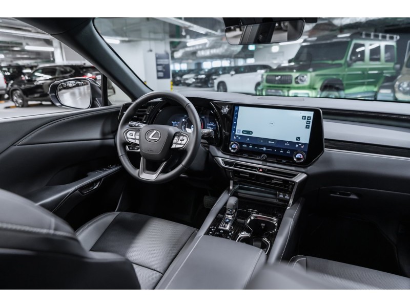 Lexus RX Enjoy 2025