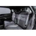 Lexus RX Enjoy 2025