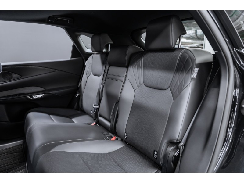 Lexus RX Enjoy 2025