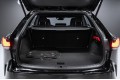 Lexus RX Enjoy 2025