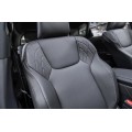 Lexus RX Enjoy 2025