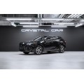 Lexus RX Enjoy 2025