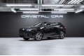 Lexus RX Enjoy 2025
