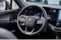Lexus RX Enjoy 2025