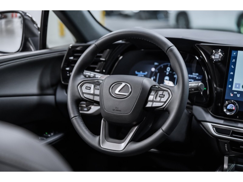 Lexus RX Enjoy 2025