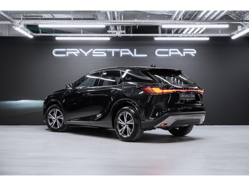 Lexus RX Enjoy 2025