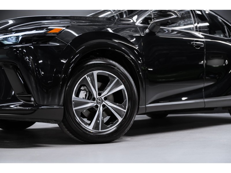 Lexus RX Enjoy 2025