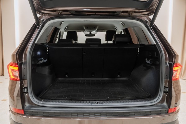 Skoda KODIAQ I (2016—2022) Hockey Edition - 2019