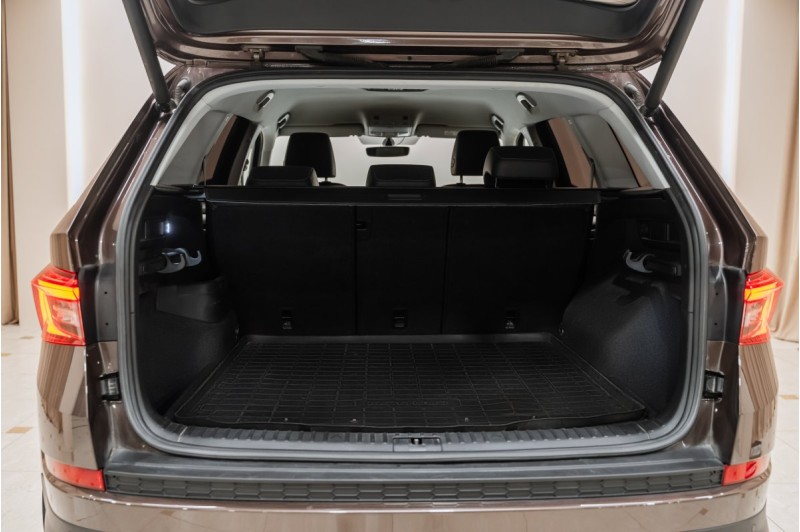 Skoda KODIAQ I — 2019