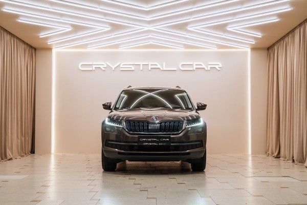 Skoda KODIAQ I (2016—2022) Hockey Edition - 2019